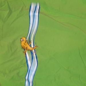 Dr. Seuss 0shirt medium junior